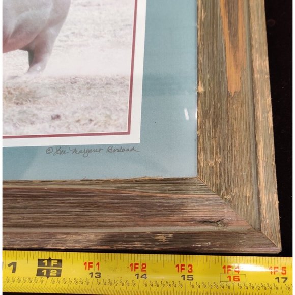 Hippopotamus Photography Lake Manyara National Park Tanzania Africa Lee-Margaret - Picture 15 of 15